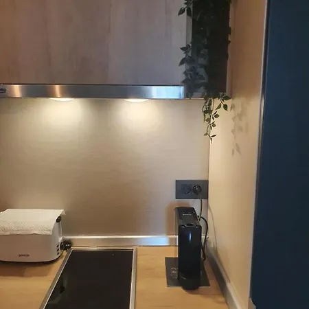 Apartment Downtown Belgrad